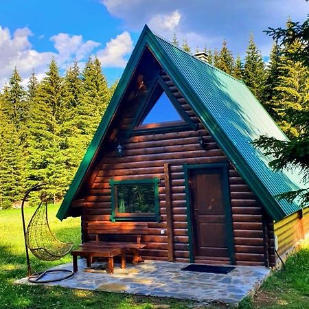 Žabljak Rajska Sumaヴィラ エクステリア 写真