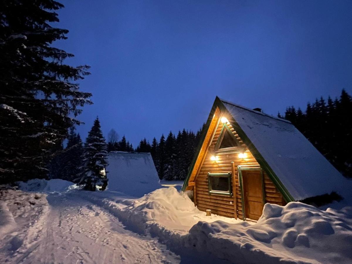 Žabljak Rajska Sumaヴィラ エクステリア 写真