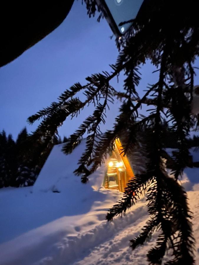 Žabljak Rajska Sumaヴィラ エクステリア 写真