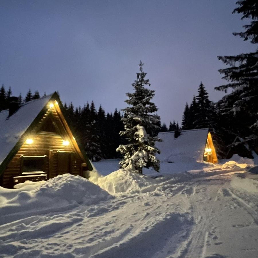 Žabljak Rajska Sumaヴィラ エクステリア 写真