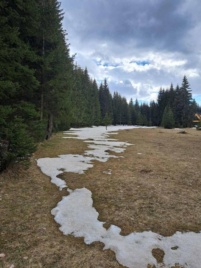 Žabljak Rajska Sumaヴィラ エクステリア 写真